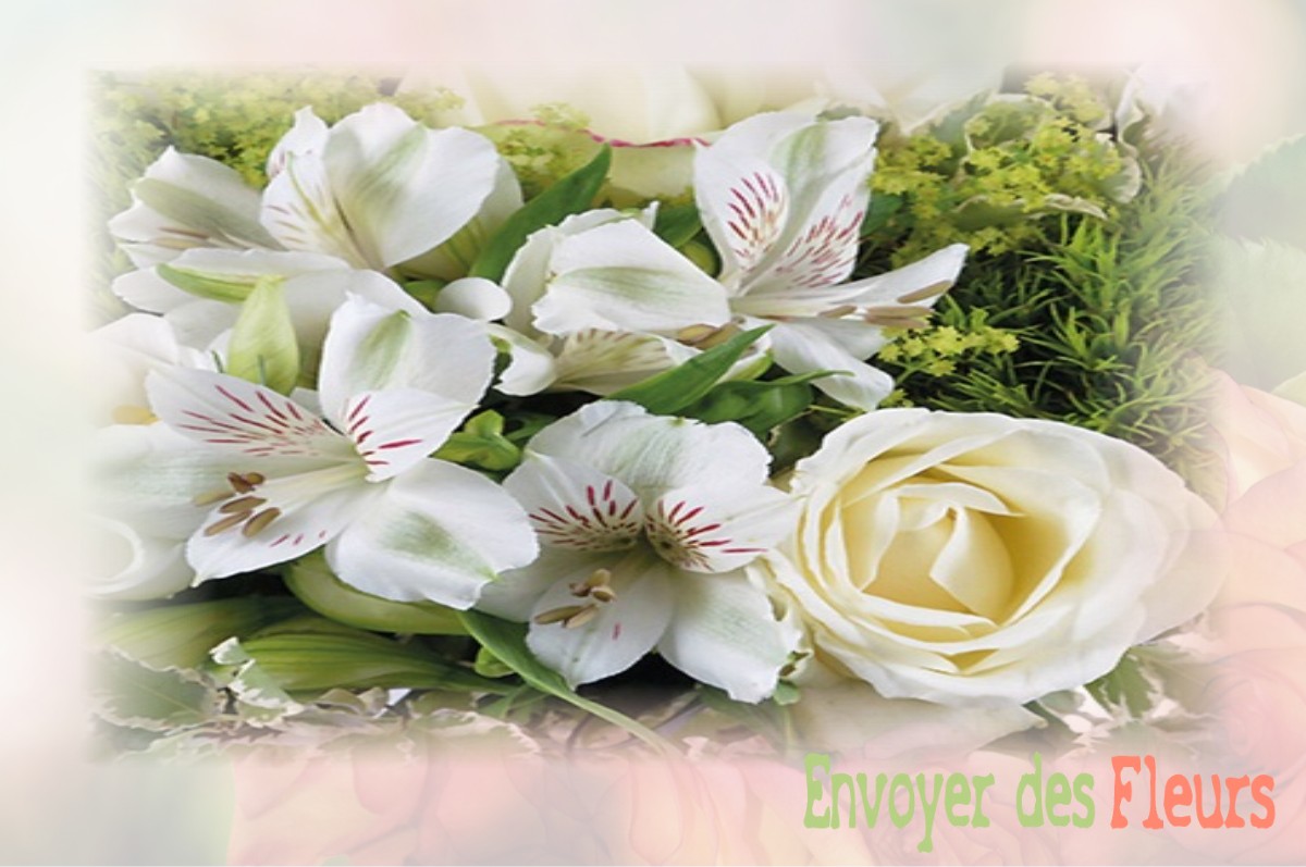 envoyer des fleurs à à FRESNES-SUR-APANCE
